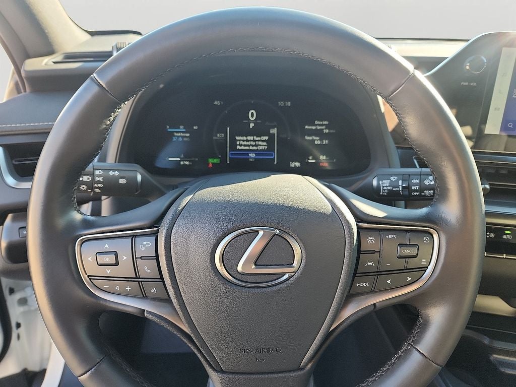 2025 Lexus UX 300h Premium 300h Premium COLD AREA PKG,