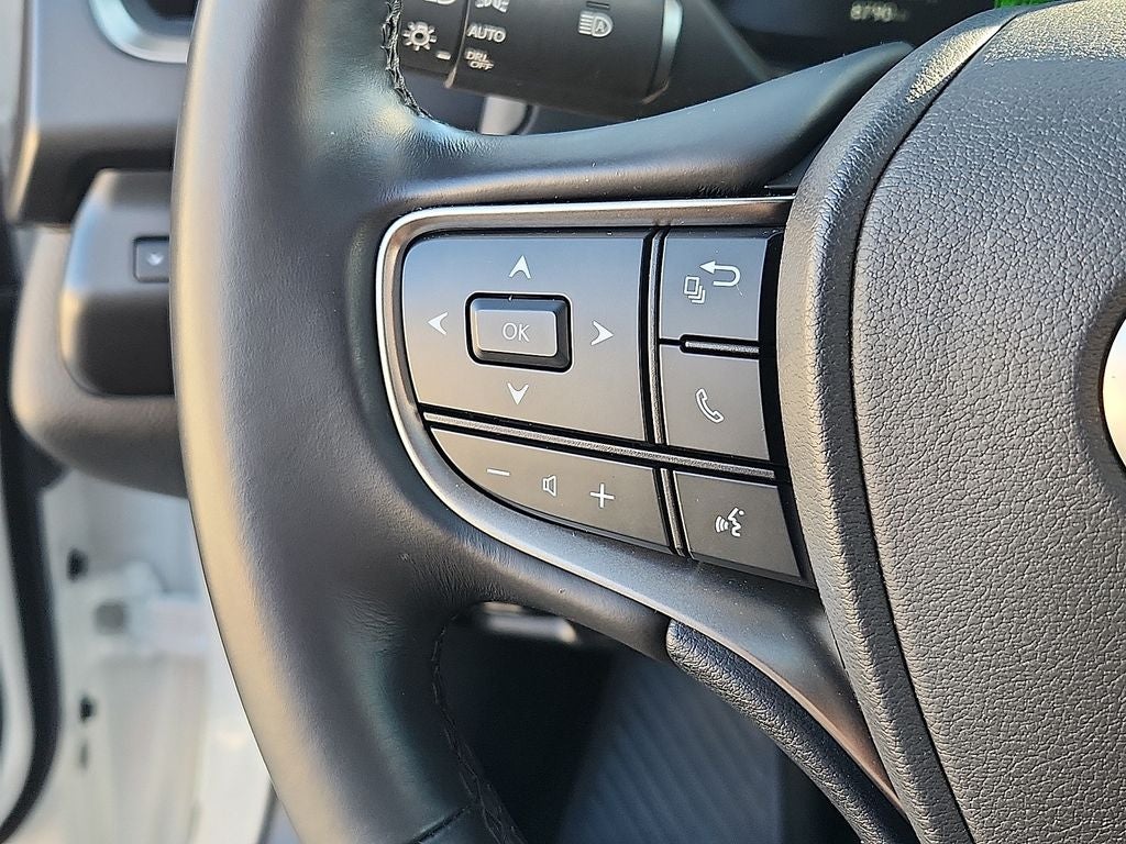 2025 Lexus UX 300h Premium 300h Premium COLD AREA PKG,