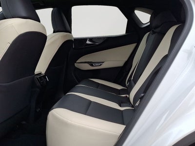 2024 Lexus NX 250 Base 250 Base