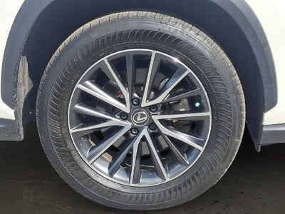 2024 Lexus NX 350 Base 350 Base COLD AREA PACKAGE
