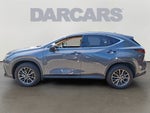 2024 Lexus NX 350h Premium 350h Premium COLD AREA PACKAGE, MARK LEVINSON AUDIO SYSTEM