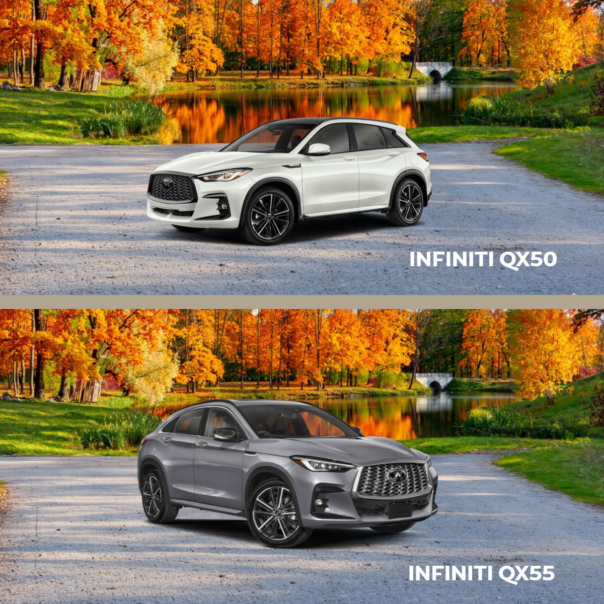 INFINITI QX50 vs INFINITI QX55 Greenwich, CT