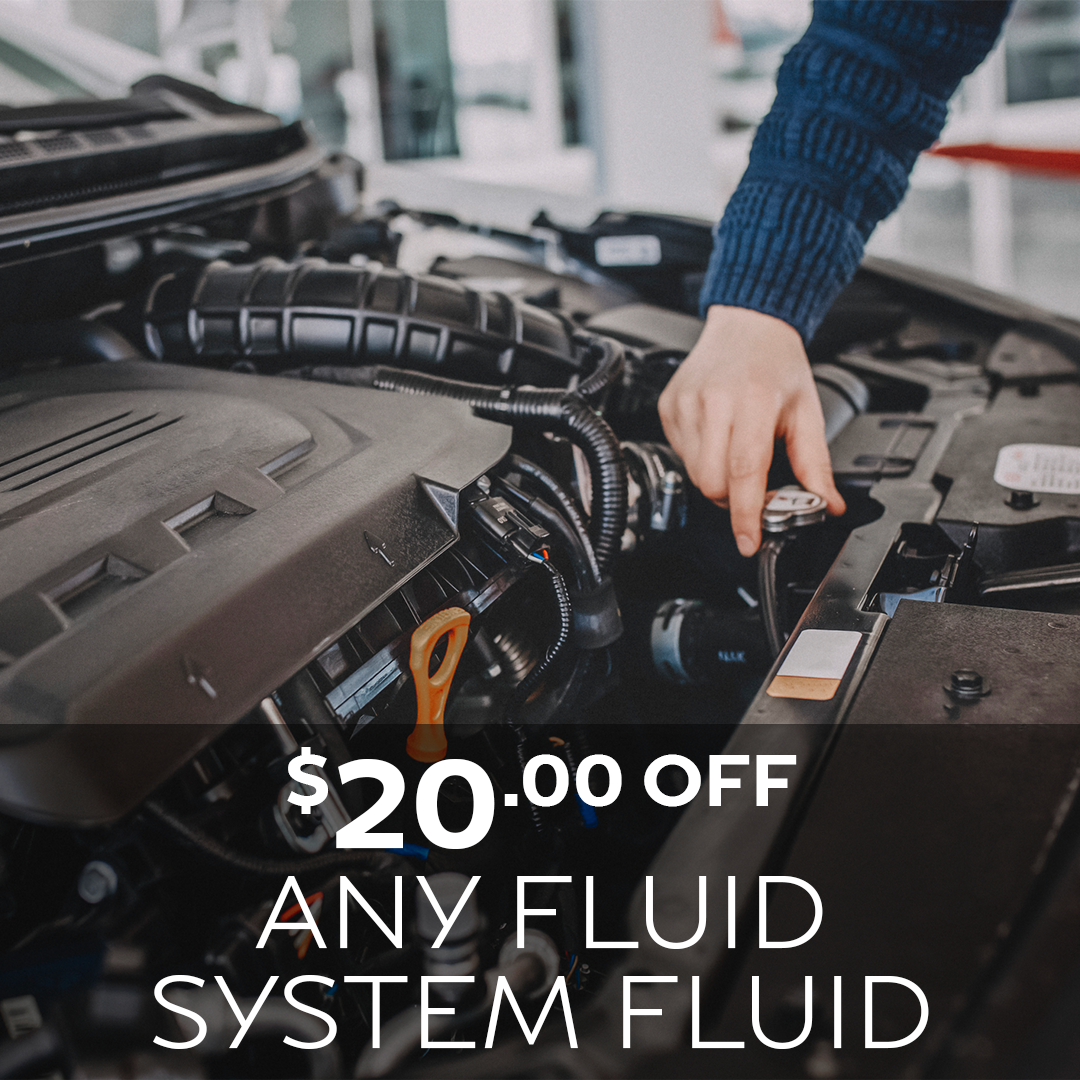 FLUID FLUSH SPECIAL $20 OFF